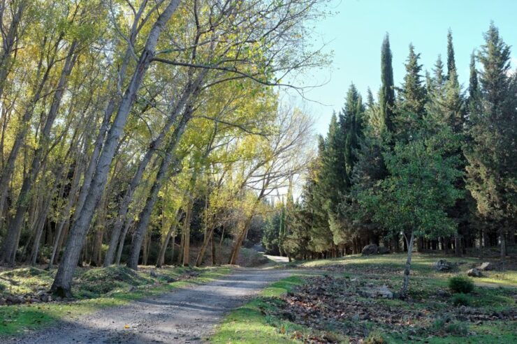 Cesarò: Full Day Tour of Nebrodi Park in a 4x4 - Free Cancellation Policy