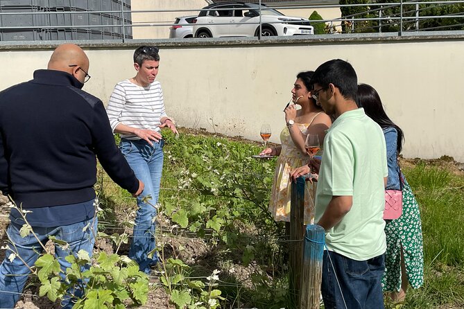 Champagne Munoz Bruneau : Half Day Visit and Tasting - Cancellation Policy Details