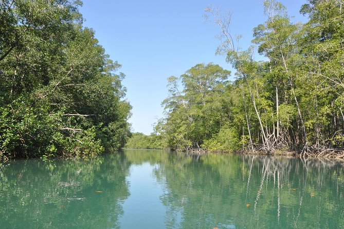 Damas Island by Boat Tour From Manuel Antonio - Cancellation Policy
