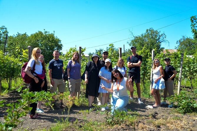 Day Trip to Kakheti Wine Region Including Seven Wine Tastings - Guide Service and Company Feedback
