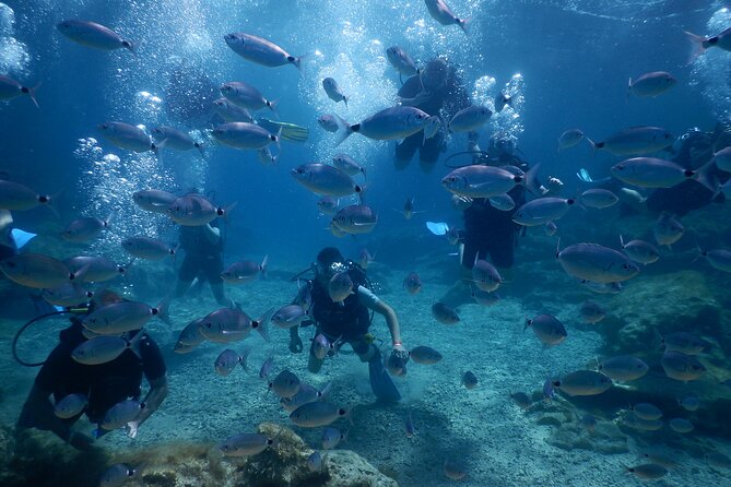 Discover Scuba Diving - Inclusions and Services