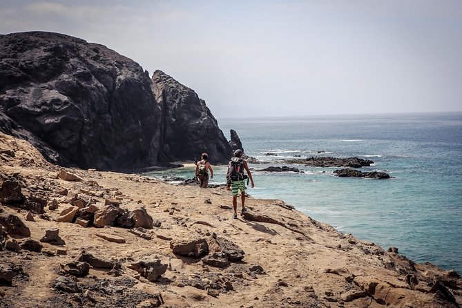 Discover the Real Fuerteventura: Extraordinary Paths Surrounded by Nature - Tour Highlights