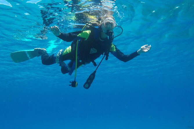 Dive The Rock (Scuba Diving Experience in Protaras) - Reviews and Ratings