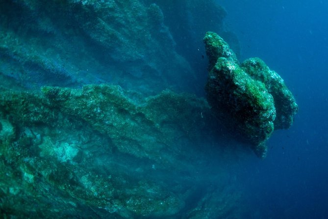 Diving Day Tour With 2 Dives - Important Reminders