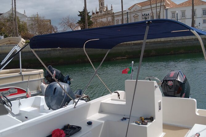 Dolphin Watching and Wildlife From Faro - Reviews