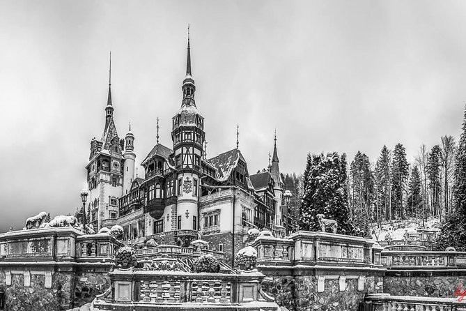 Draculas Castle, Peles Castle and Brasov - Private Day Trip From Bucharest - Visitor Reviews