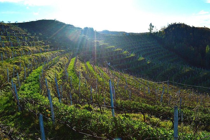 Durres & Wine Tasting Tour - Tour Details