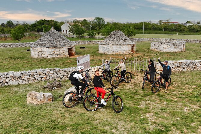 E Bike Tour With Wine and Olive Oil Tasting in Vodnjan - Review Summary