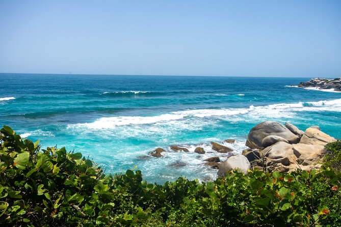 Ecological Walk in Cabo San Juan - What To Expect