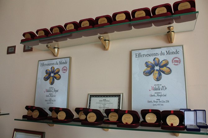 Edoardo Miroglio Private Boutique Winery Tour - Tour Experience