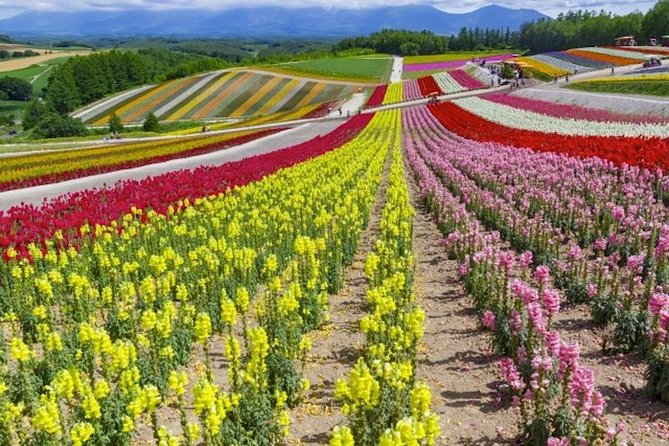 Experience Hokkaidos Summer, Furano, Blue Pond & All-you-can-eat Fresh Melon! - Additional Information