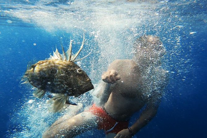 FISHING Tour to VIS and BIŠEVO Islands - Full Day Experience - The Sum Up