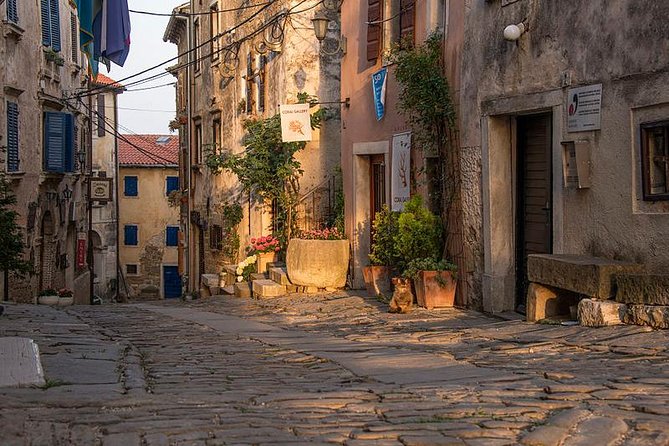 Flavours of Istria Tasting Experience From Rovinj - Istrian Cuisine Sampling