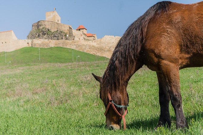 Footsteps of Saxons Day Tour, in Transylvania, From Targu Mures - Tour Requirements