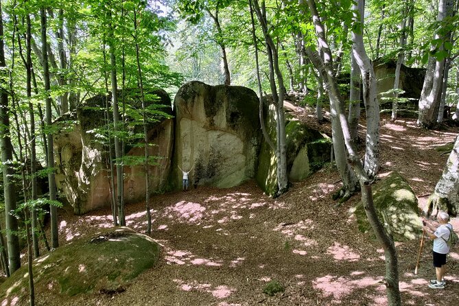 Forest Trails & Legends: Rasnov Hike to Breathtaking Views - Historical Legends