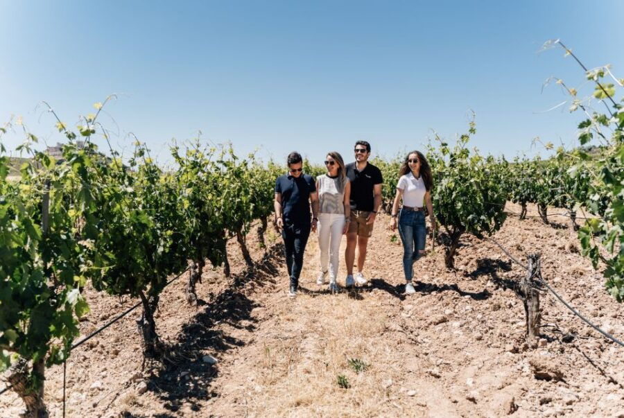 From Málaga: Ronda & Winery Experience With Wine Tasting