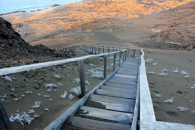 Full Day Bartolome Island & Sullivan Bay - Traveler Reviews and Feedback