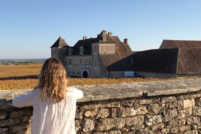 Full Day From Dijon: the Most of Burgundy With Lunch - What To Expect