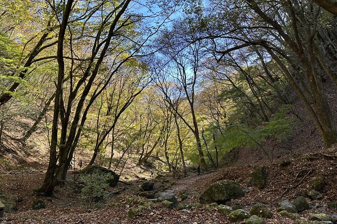 Full Day Guided Hiking Tour in Mt. Mitake - Pricing and Reservation