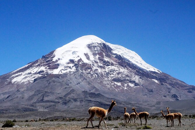 Full-Day Hiking Experience of Chimborazo Volcano With Lunch - Meeting Point