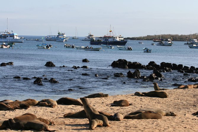Full-Day Pinzon Island Snorkeling and Fishing - Frequently Asked Questions