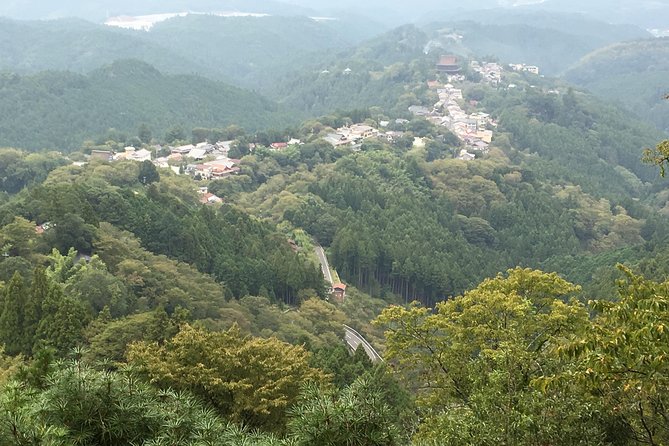 Full-Day Private Guided Tour in a Japanese Mountain: Yoshino, Nara - Frequently Asked Questions