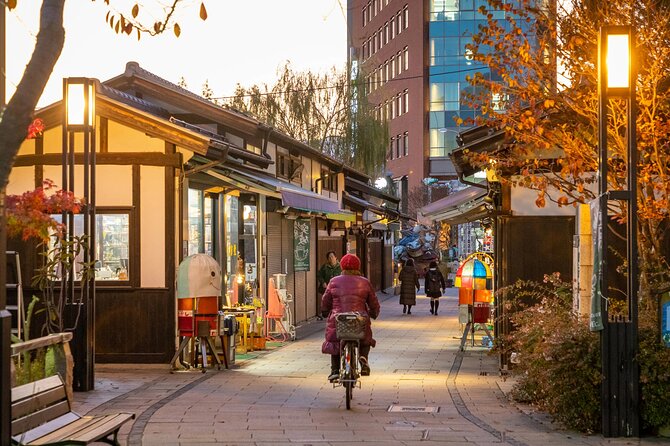 Full-Day Private Nikko Tour in Tokyo With English Speaking Driver - Directions