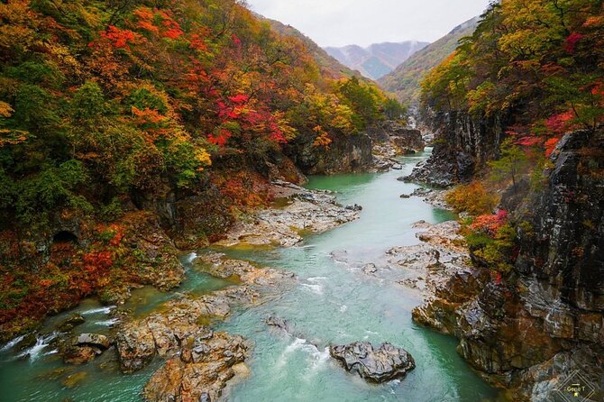 Full Day Private Nikko Tour With English& Hindi Speaking Driver - Cancellation Policy