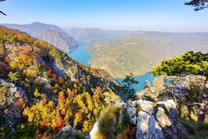 Full Day Trip From Belgrade: the Drina River House and Tara Park Tour - Important Information