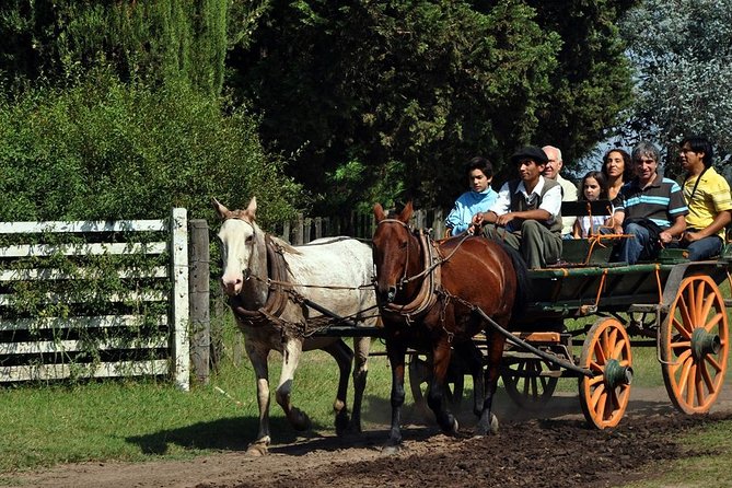 Gaucho Party at the Ranch - Day Ranch Gaucho Barbecue - Activities Offered