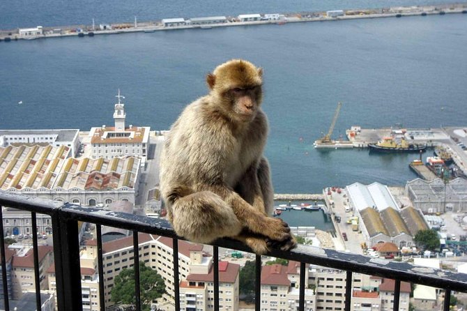 Gibraltar Sightseeing: Classic Rock Tour (Private) - Directions