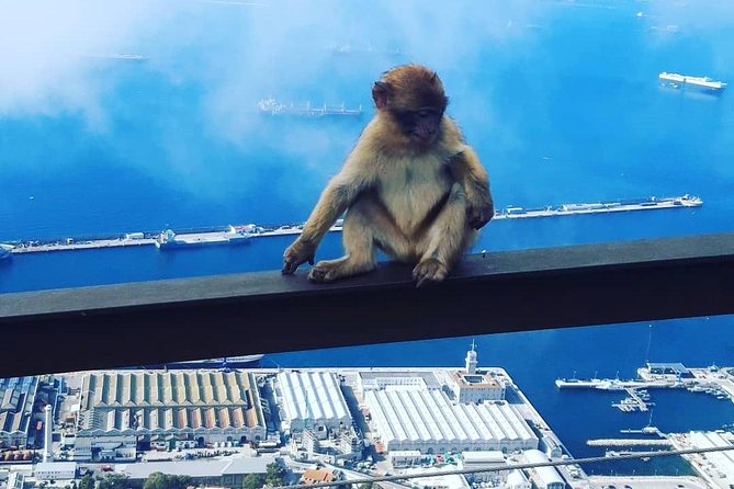 Gibraltar Sightseeing : Extended Rock Tour / Shore Excursion (Private) - Reservation and Cancellation Policy