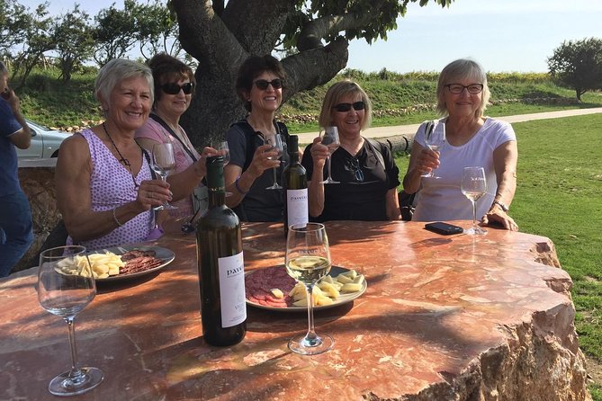 Great Wine Tour in Small Carpathian Hills - Tour Restrictions