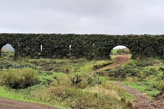 Guided Visit to the Crater and Volcano of Lagoa Das Sete Cidades - Customer Reviews