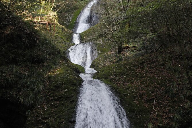 Half Day Countryside Tour in Shinshiro Japan - Frequently Asked Questions