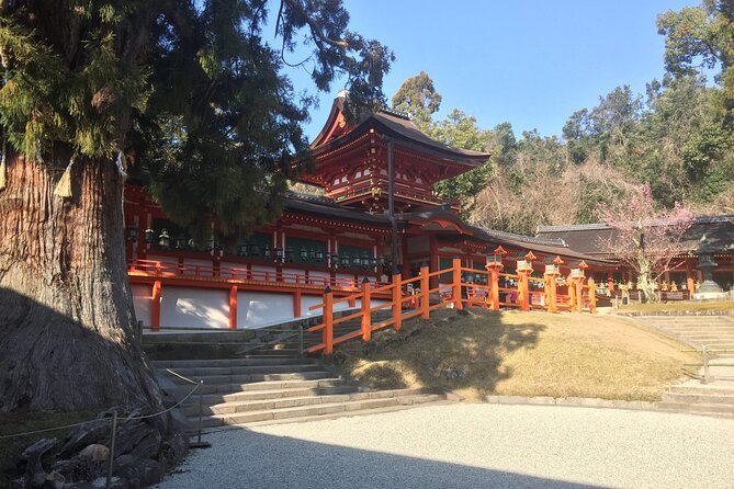 Half-Day Private Guided Tour to Nara City - Pricing and Booking Information