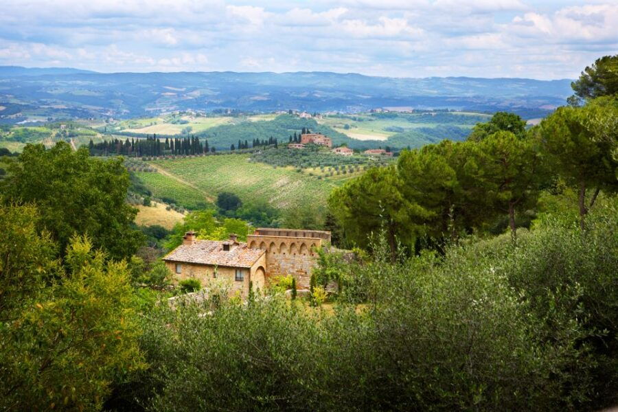 Half-Day Tour of San Gimignano From Florence - Good To Know