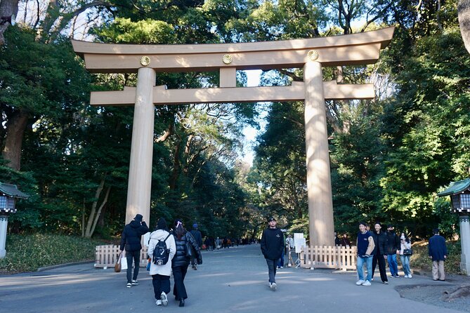 Harajuku Meiji Shrine 1 Hour Explanation Tour - Cancellation Policy