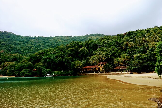 Highlights of Abraão Cove on a Half Day Hike in Ilha Grande - Refreshing Swim Opportunities
