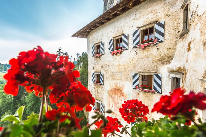 Highlights of Slovenia - Postojna & Bled (Tickets Included) - Reviews and Customer Feedback