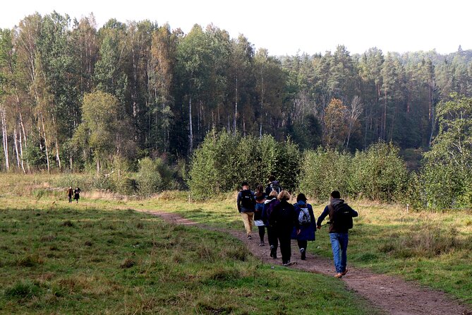 Hike In Gauja National Park - Up And Down The Switzerland Of Latvia - Directions and Logistics
