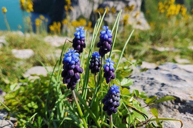 Hiking Day Tour of Bovilla Lake & Gamti Mountain From Tirana - Meeting and Pickup Details