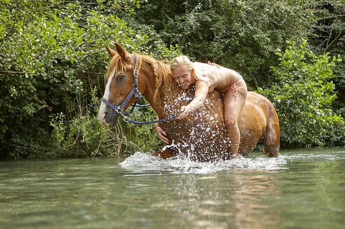 Horse Riding in Tuscany for Experienced Riders: Full-day Trail Ride - Price
