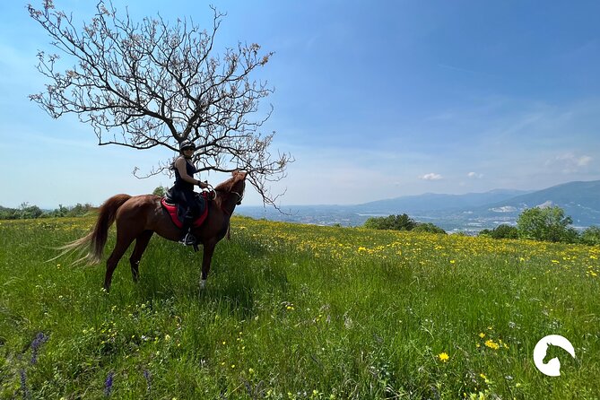 Horseback Riding for Experts Between the Lake and the Mountains - Pricing Information and Guarantees