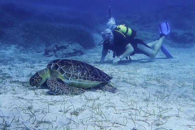 Introductory Diving in Small Groups - Tips for a Memorable Diving Experience