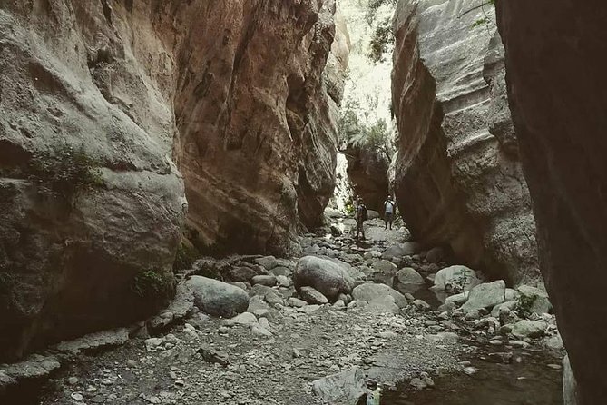 Jeep Safari to Akamas National Park: Avakas Gorge Tour From Paphos - Itinerary
