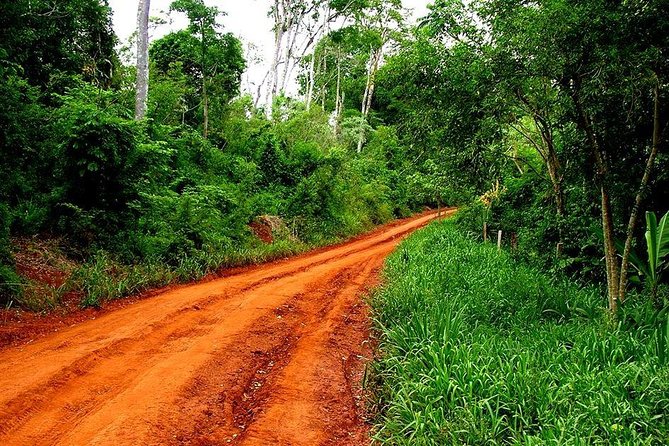 Jungle Fly: Adventure at the Jungle in Iguazu - Cancellation Policy