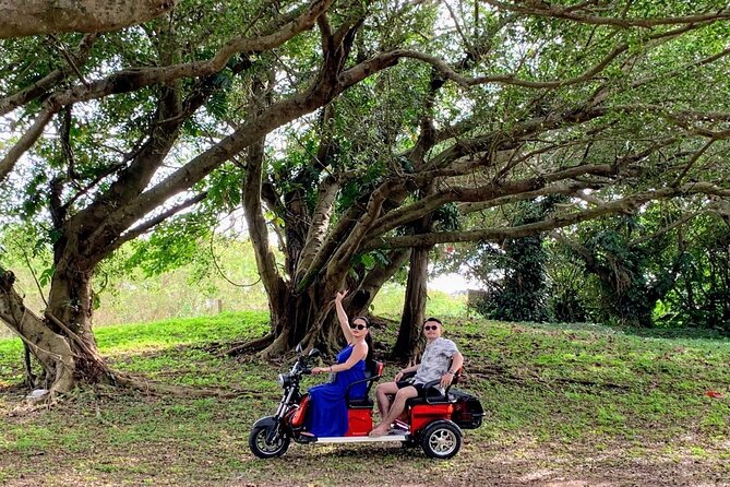 Kabira Bay Guided Tour by Electric Trike in Ishigaki Island, Okinawa - Price