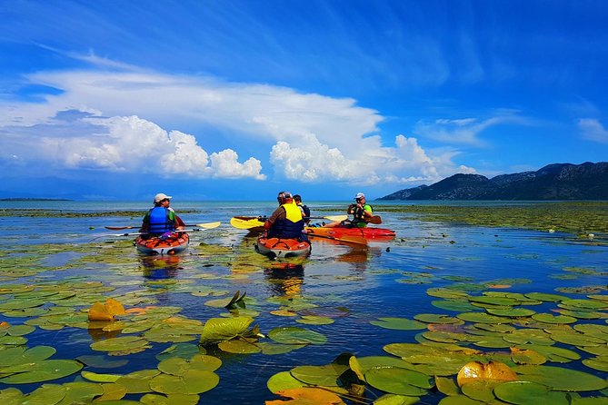 Kayak Guided Tour Skadar Lake - Adventure in National Park - Meeting and Pickup