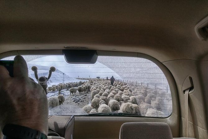 Kazbegi Adventure - Private Day Trip From Tbilisi With a Dinner + Masterclass - The Sum Up